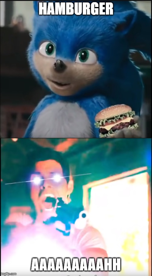 sonic's hamburger | HAMBURGER; AAAAAAAAAHH | image tagged in hamburger,sonic the hedgehog,sonic,memes,dank memes | made w/ Imgflip meme maker