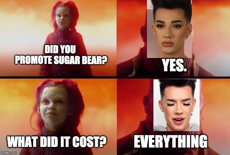 What did it cost? | DID YOU PROMOTE SUGAR BEAR? YES. WHAT DID IT COST? EVERYTHING | image tagged in what did it cost | made w/ Imgflip meme maker