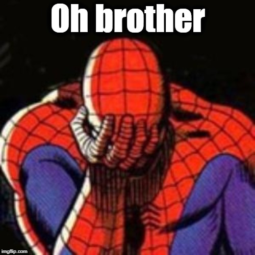 Spiderman Facepalm  | Oh brother | image tagged in spiderman facepalm | made w/ Imgflip meme maker