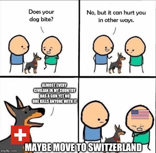 does your dog bite | ALMOST EVERY CIVILIAN IN MY COUNTRY HAS A GUN YET NO ONE KILLS ANYONE WITH IT; MAYBE MOVE TO SWITZERLAND | image tagged in does your dog bite | made w/ Imgflip meme maker