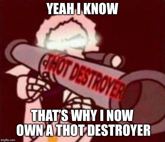 YEAH I KNOW THAT’S WHY I NOW OWN A THOT DESTROYER | made w/ Imgflip meme maker