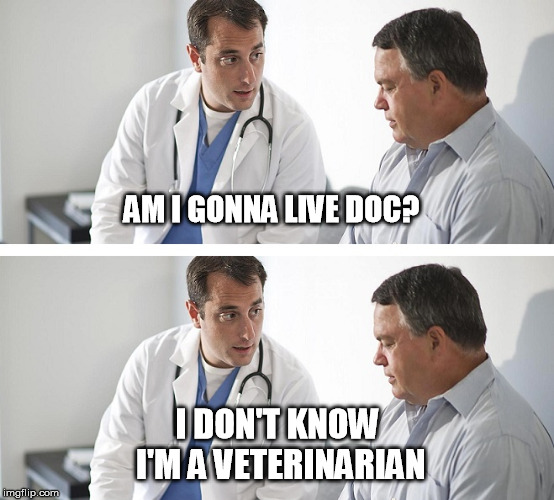 Doctor and Patient | AM I GONNA LIVE DOC? I DON'T KNOW I'M A VETERINARIAN | image tagged in doctor and patient | made w/ Imgflip meme maker