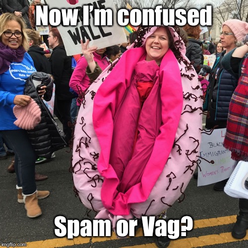 Now I’m confused Spam or Vag? | made w/ Imgflip meme maker