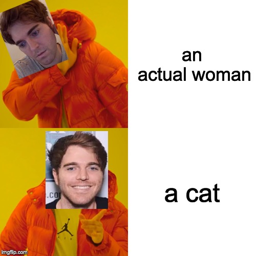 Drake Hotline Bling | an actual woman; a cat | image tagged in memes,drake hotline bling | made w/ Imgflip meme maker
