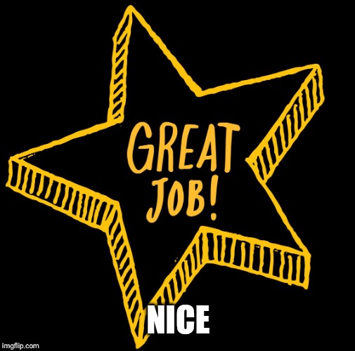 gREAT JOB | NICE | image tagged in great job | made w/ Imgflip meme maker