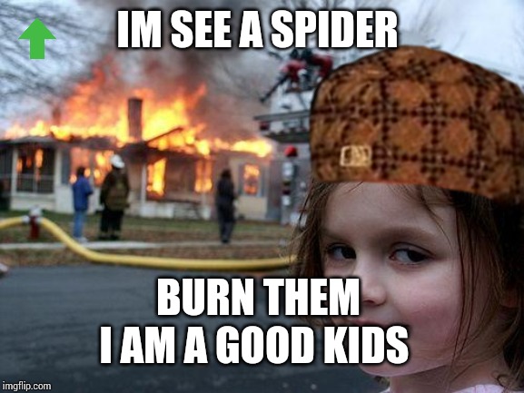 IM SEE A SPIDER; BURN THEM; I AM A GOOD KIDS | image tagged in good memes | made w/ Imgflip meme maker