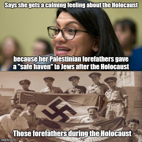 History rewrites with Rep. Rashida Tlaib | Says she gets a calming feeling about the Holocaust; because her Palestinian forefathers gave a "safe haven" to Jews after the Holocaust; Those forefathers during the Holocaust | image tagged in rashida tlaib,lies,stupid liberals | made w/ Imgflip meme maker