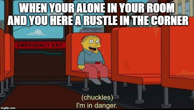 im in danger | WHEN YOUR ALONE IN YOUR ROOM AND YOU HERE A RUSTLE IN THE CORNER | image tagged in im in danger | made w/ Imgflip meme maker