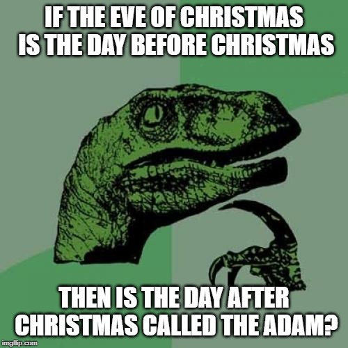Philosoraptor | IF THE EVE OF CHRISTMAS IS THE DAY BEFORE CHRISTMAS; THEN IS THE DAY AFTER CHRISTMAS CALLED THE ADAM? | image tagged in memes,philosoraptor | made w/ Imgflip meme maker