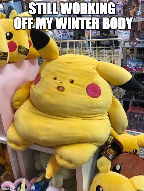 Pikachu putting on some weight |  STILL WORKING OFF MY WINTER BODY | image tagged in fat,pikachu,pokemon,stuffed animal | made w/ Imgflip meme maker