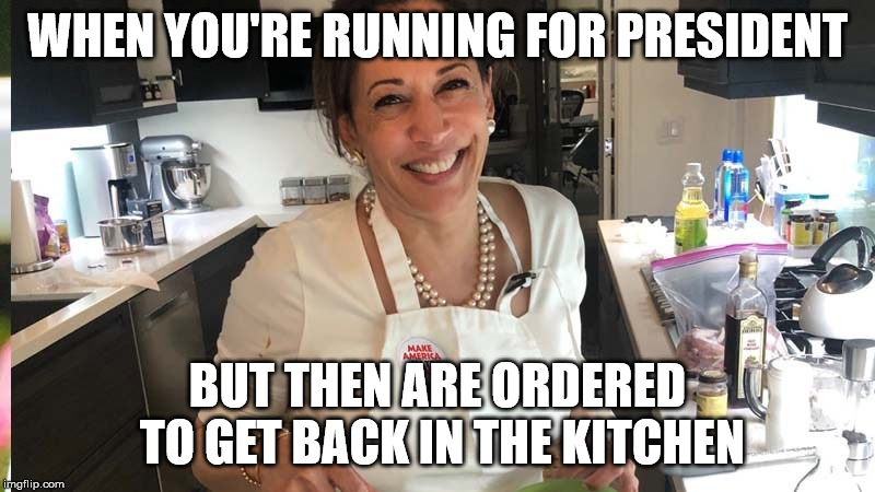 WHEN YOU'RE RUNNING FOR PRESIDENT; BUT THEN ARE ORDERED TO GET BACK IN THE KITCHEN | image tagged in politics,humor,elections 2020 | made w/ Imgflip meme maker