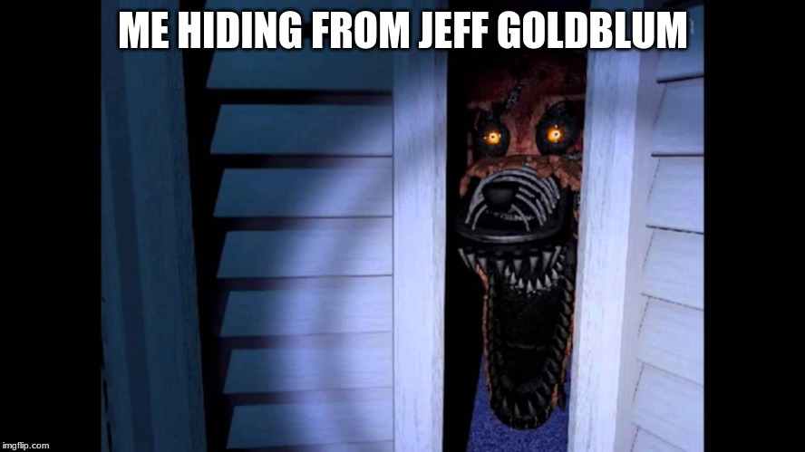 Foxy FNaF 4 | ME HIDING FROM JEFF GOLDBLUM | image tagged in foxy fnaf 4 | made w/ Imgflip meme maker