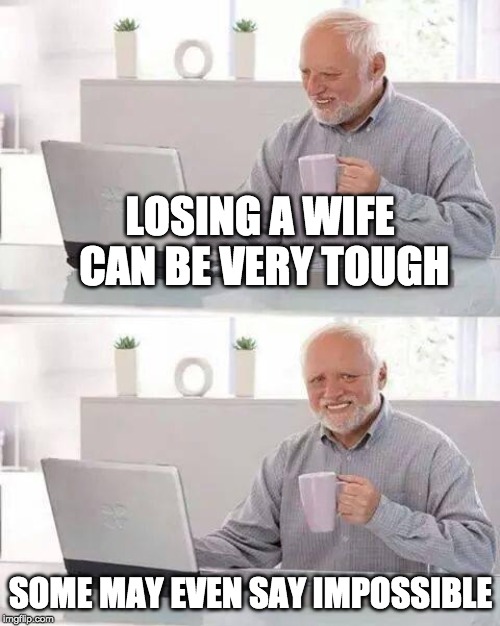 Unhappily Married | LOSING A WIFE CAN BE VERY TOUGH; SOME MAY EVEN SAY IMPOSSIBLE | image tagged in memes,hide the pain harold,wife | made w/ Imgflip meme maker