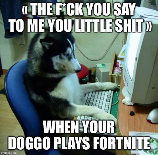 I Have No Idea What I Am Doing | « THE F*CK YOU SAY TO ME YOU LITTLE SHIT »; WHEN YOUR DOGGO PLAYS FORTNITE | image tagged in memes,i have no idea what i am doing | made w/ Imgflip meme maker