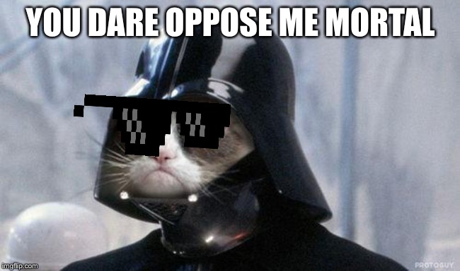 Grumpy Cat Star Wars Meme | YOU DARE OPPOSE ME MORTAL | image tagged in memes,grumpy cat star wars,grumpy cat | made w/ Imgflip meme maker