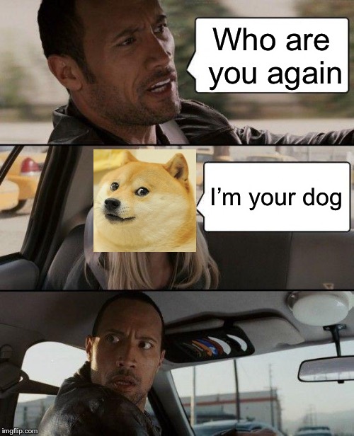 The Rock Driving | Who are you again; I’m your dog | image tagged in memes,the rock driving | made w/ Imgflip meme maker