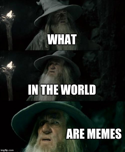 Confused Gandalf | WHAT; IN THE WORLD; ARE MEMES | image tagged in memes,confused gandalf | made w/ Imgflip meme maker