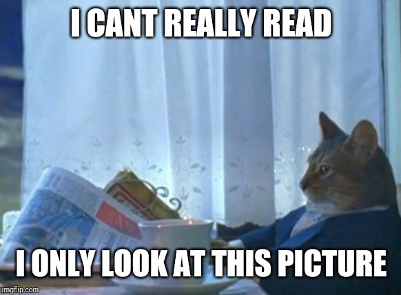 Cat newspaper | I CANT REALLY READ; I ONLY LOOK AT THIS PICTURE | image tagged in cat newspaper | made w/ Imgflip meme maker