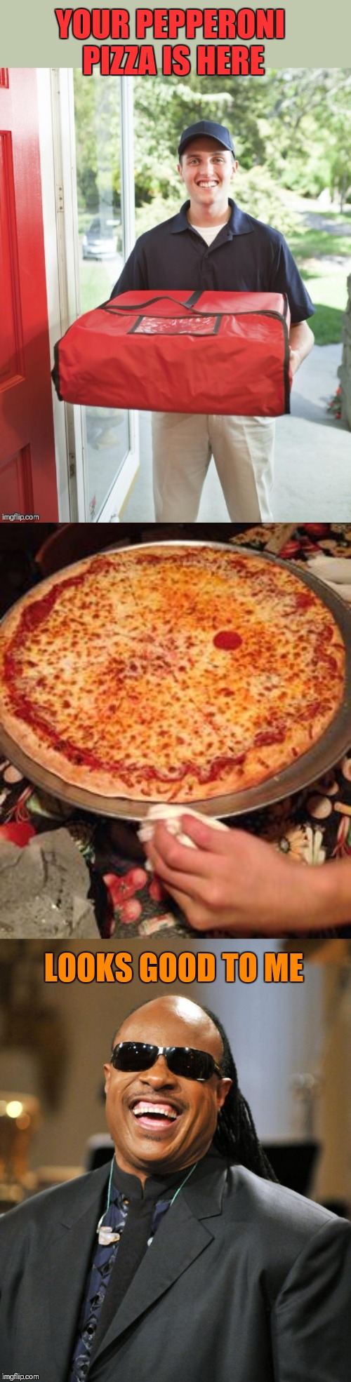 One pepperoni | YOUR PEPPERONI PIZZA IS HERE; LOOKS GOOD TO ME | image tagged in stevie wonder,memes,funny,pizza,food,44colt | made w/ Imgflip meme maker