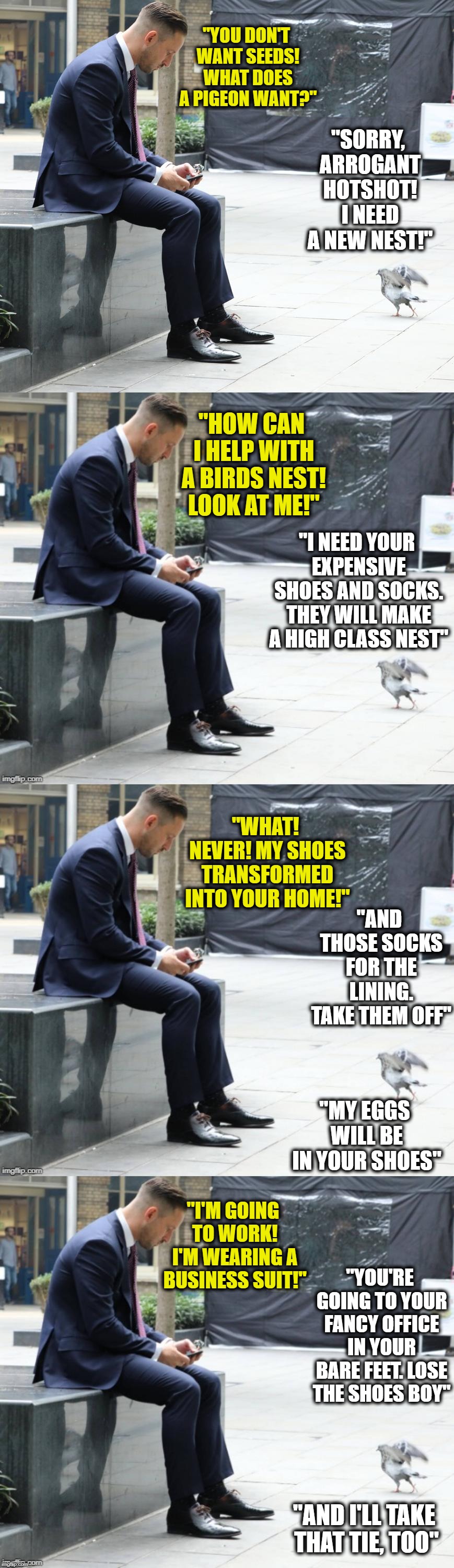 What Do Pigeons Want? | "YOU DON'T WANT SEEDS! WHAT DOES A PIGEON WANT?"; "SORRY, ARROGANT HOTSHOT! I NEED A NEW NEST!"; "HOW CAN I HELP WITH A BIRDS NEST! LOOK AT ME!"; "I NEED YOUR EXPENSIVE SHOES AND SOCKS. THEY WILL MAKE A HIGH CLASS NEST"; "WHAT! NEVER! MY SHOES TRANSFORMED INTO YOUR HOME!"; "AND THOSE SOCKS FOR THE LINING. TAKE THEM OFF"; "MY EGGS WILL BE IN YOUR SHOES"; "I'M GOING TO WORK! I'M WEARING A BUSINESS SUIT!"; "YOU'RE GOING TO YOUR FANCY OFFICE IN YOUR BARE FEET. LOSE THE SHOES BOY"; "AND I'LL TAKE THAT TIE, TOO" | image tagged in pigeon,businessman | made w/ Imgflip meme maker