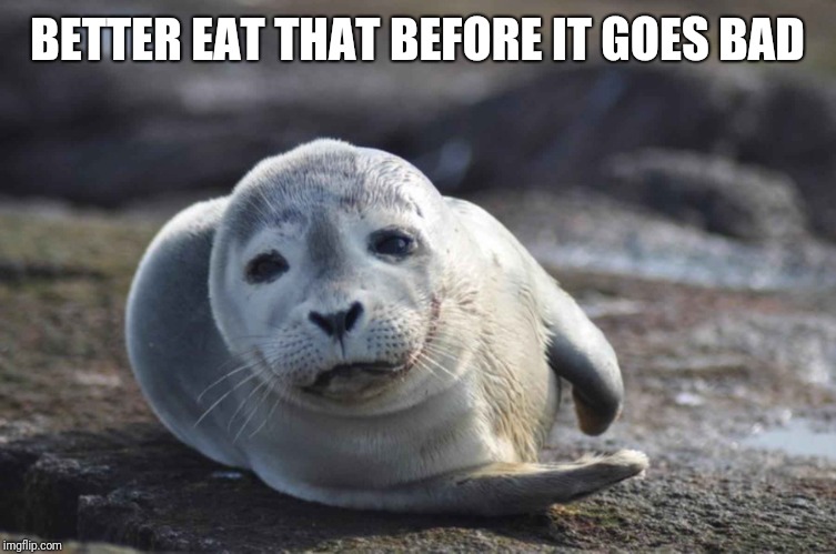 Freshness Seal | BETTER EAT THAT BEFORE IT GOES BAD | image tagged in freshness seal | made w/ Imgflip meme maker