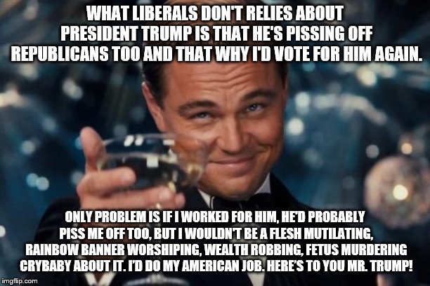 Leonardo Dicaprio Cheers Meme | WHAT LIBERALS DON'T RELIES ABOUT PRESIDENT TRUMP IS THAT HE'S PISSING OFF REPUBLICANS TOO AND THAT WHY I'D VOTE FOR HIM AGAIN. ONLY PROBLEM IS IF I WORKED FOR HIM, HE'D PROBABLY PISS ME OFF TOO, BUT I WOULDN'T BE A FLESH MUTILATING, RAINBOW BANNER WORSHIPING, WEALTH ROBBING, FETUS MURDERING CRYBABY ABOUT IT. I’D DO MY AMERICAN JOB. HERE’S TO YOU MR. TRUMP! | image tagged in memes,leonardo dicaprio cheers | made w/ Imgflip meme maker