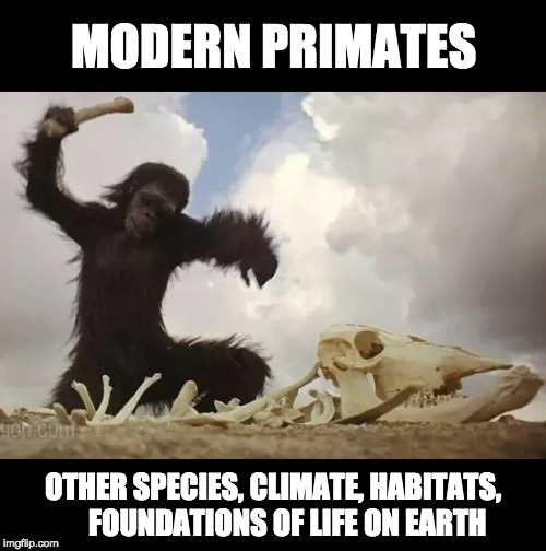 Modern primates kill everything | MODERN PRIMATES; OTHER SPECIES, CLIMATE, HABITATS,     FOUNDATIONS OF LIFE ON EARTH | image tagged in human,climate,extinction | made w/ Imgflip meme maker
