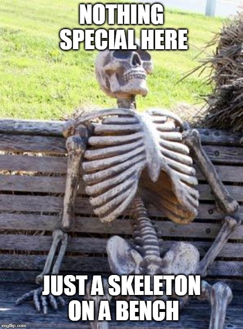 Waiting Skeleton | NOTHING SPECIAL HERE; JUST A SKELETON ON A BENCH | image tagged in memes,waiting skeleton | made w/ Imgflip meme maker