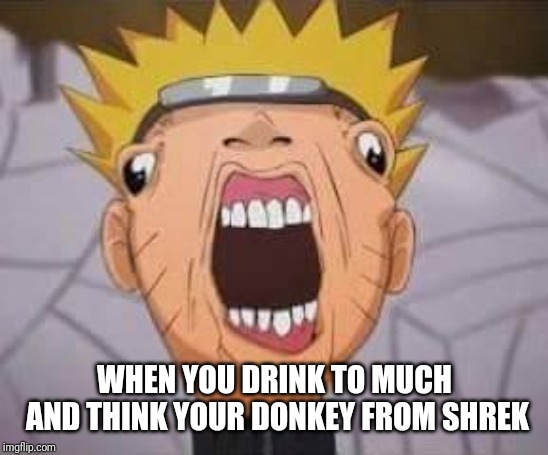 Naruto joke | WHEN YOU DRINK TO MUCH AND THINK YOUR DONKEY FROM SHREK | image tagged in naruto joke | made w/ Imgflip meme maker