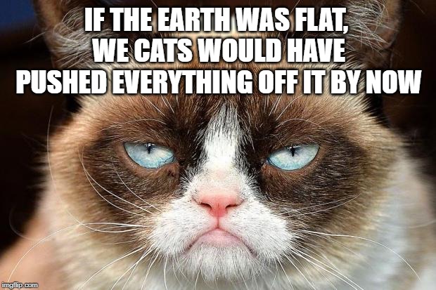 Grumpy Cat Not Amused Meme | IF THE EARTH WAS FLAT, WE CATS WOULD HAVE PUSHED EVERYTHING OFF IT BY NOW | image tagged in memes,grumpy cat not amused,grumpy cat | made w/ Imgflip meme maker