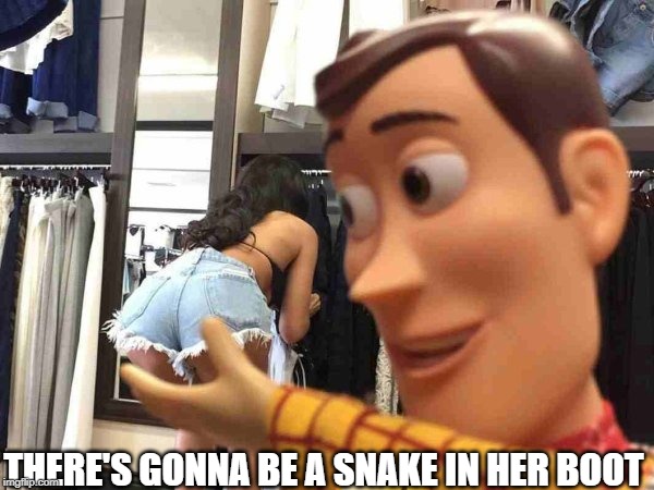 Woody got a woody | THERE'S GONNA BE A SNAKE IN HER BOOT | image tagged in when you see the booty | made w/ Imgflip meme maker