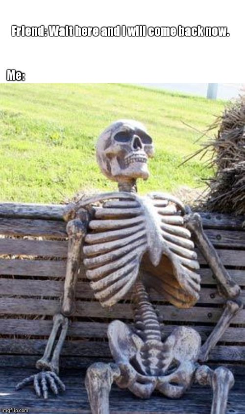 Waiting Skeleton | Friend: Wait here and i will come back now. Me: | image tagged in memes,waiting skeleton | made w/ Imgflip meme maker