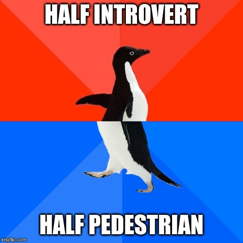 Socially Awesome Awkward Penguin | HALF INTROVERT; HALF PEDESTRIAN | image tagged in memes,socially awesome awkward penguin | made w/ Imgflip meme maker
