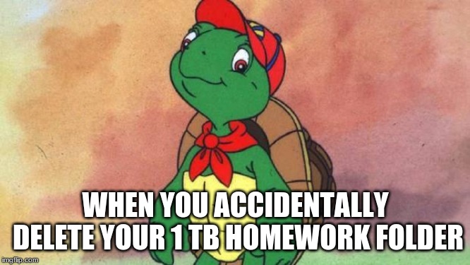Franklin | WHEN YOU ACCIDENTALLY DELETE YOUR 1 TB HOMEWORK FOLDER | image tagged in franklin | made w/ Imgflip meme maker