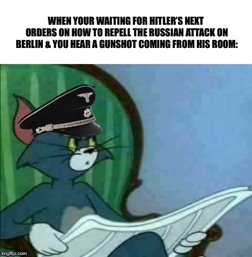 Nazi Tom | WHEN YOUR WAITING FOR HITLER’S NEXT ORDERS ON HOW TO REPELL THE RUSSIAN ATTACK ON BERLIN & YOU HEAR A GUNSHOT COMING FROM HIS ROOM: | image tagged in nazi tom | made w/ Imgflip meme maker