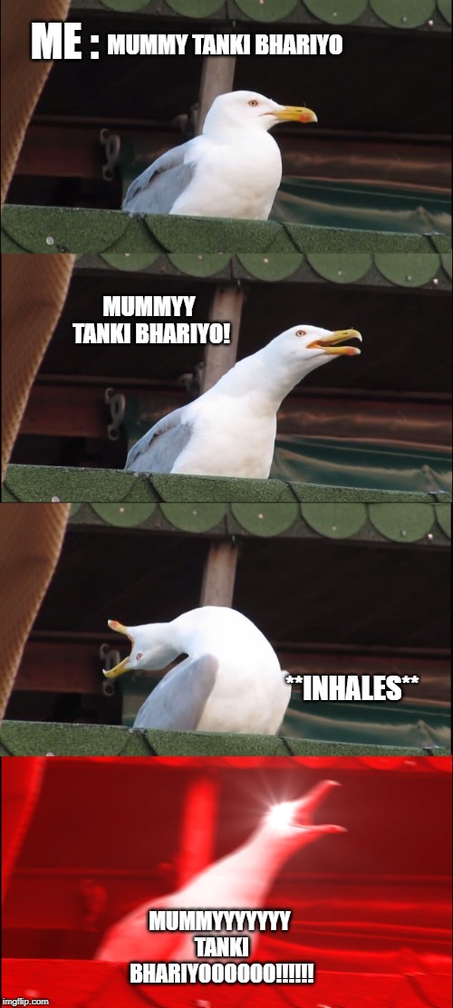 Inhaling Seagull | MUMMY TANKI BHARIYO; ME :; MUMMYY TANKI BHARIYO! **INHALES**; MUMMYYYYYYY TANKI BHARIYOOOOOO!!!!!! | image tagged in memes,inhaling seagull | made w/ Imgflip meme maker