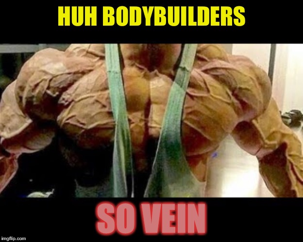 The pump. | HUH BODYBUILDERS; SO VEIN | image tagged in bodybuilding,veins,vascular,vain,workout,sports | made w/ Imgflip meme maker