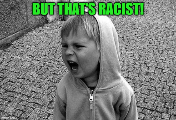 Screaming child | BUT THAT'S RACIST! | image tagged in screaming child | made w/ Imgflip meme maker