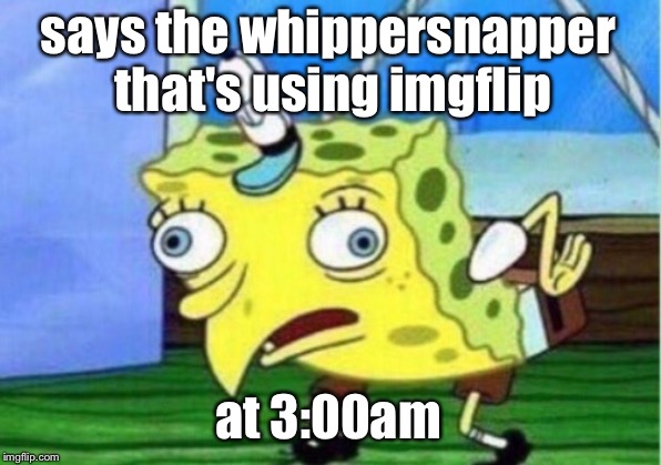 Mocking Spongebob Meme | says the whippersnapper that's using imgflip at 3:00am | image tagged in memes,mocking spongebob | made w/ Imgflip meme maker