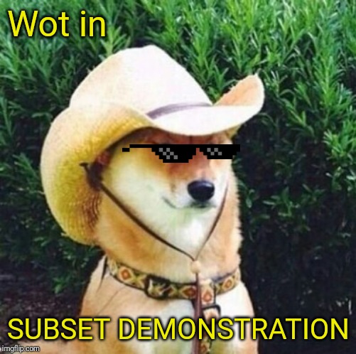 Wot in Tarnation Dog | Wot in SUBSET DEMONSTRATION | image tagged in wot in tarnation dog | made w/ Imgflip meme maker