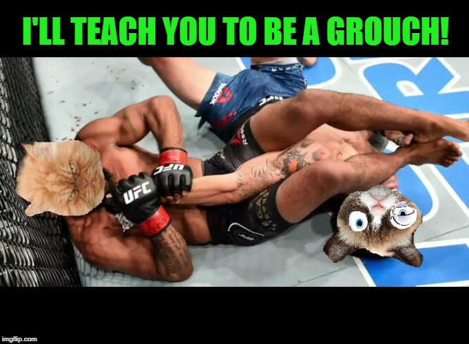 Angry Cat and Grumpy Ct are at it again! | I'LL TEACH YOU TO BE A GROUCH! | image tagged in angry cat vs grumpy cat,memes,nixieknox | made w/ Imgflip meme maker