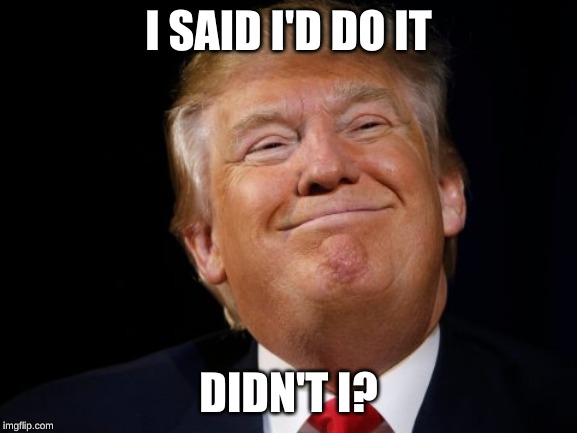 Trump smug | I SAID I'D DO IT DIDN'T I? | image tagged in trump smug | made w/ Imgflip meme maker