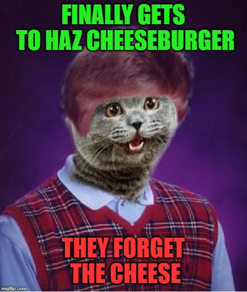 I haz Bad Luck | FINALLY GETS TO HAZ CHEESEBURGER THEY FORGET THE CHEESE | image tagged in i haz bad luck | made w/ Imgflip meme maker