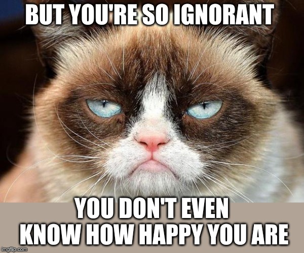 Grumpy Cat Not Amused Meme | BUT YOU'RE SO IGNORANT YOU DON'T EVEN KNOW HOW HAPPY YOU ARE | image tagged in memes,grumpy cat not amused,grumpy cat | made w/ Imgflip meme maker