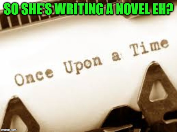 Writing a novel | SO SHE'S WRITING A NOVEL EH? | image tagged in writing a novel | made w/ Imgflip meme maker
