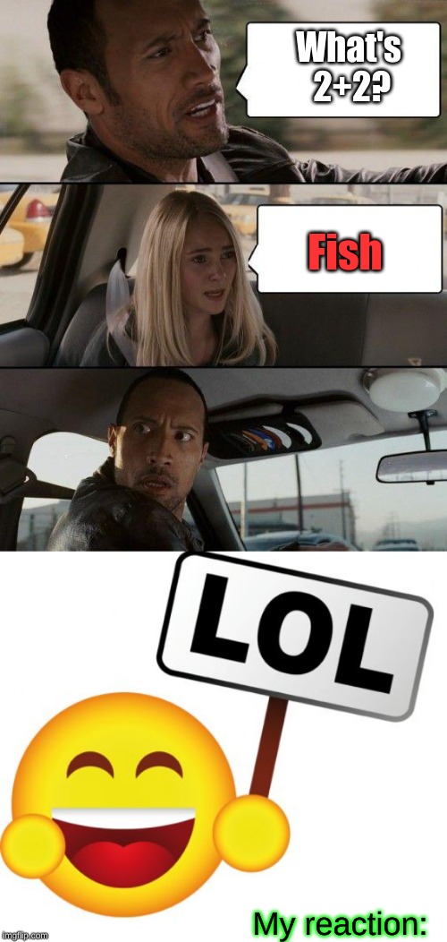 this girl might have dropped out of pre-k | What's 2+2? Fish; My reaction: | image tagged in memes,the rock driving,lol craziness_all_the_way | made w/ Imgflip meme maker
