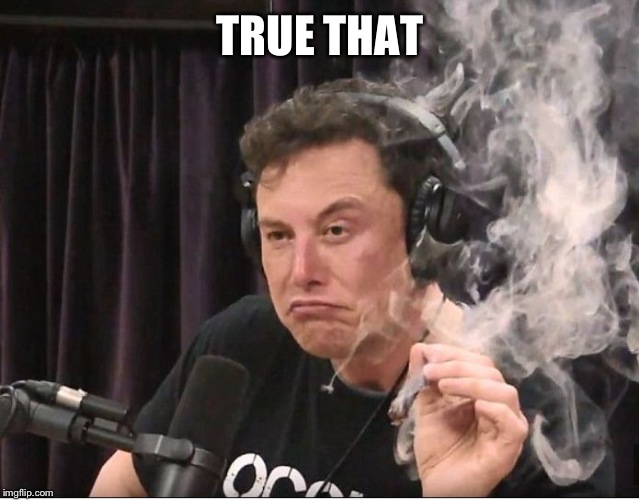 Elon Musk smoking a joint | TRUE THAT | image tagged in elon musk smoking a joint | made w/ Imgflip meme maker