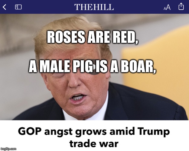 News is Funny | ROSES ARE RED, A MALE PIG IS A BOAR, | image tagged in donald trump | made w/ Imgflip meme maker