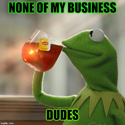 But That's None Of My Business Meme | NONE OF MY BUSINESS; DUDES | image tagged in memes,but thats none of my business,kermit the frog | made w/ Imgflip meme maker