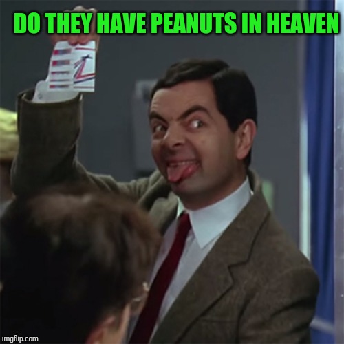 Mr. Bean for President | DO THEY HAVE PEANUTS IN HEAVEN | image tagged in mr bean for president | made w/ Imgflip meme maker